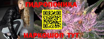 твердый Пушкино