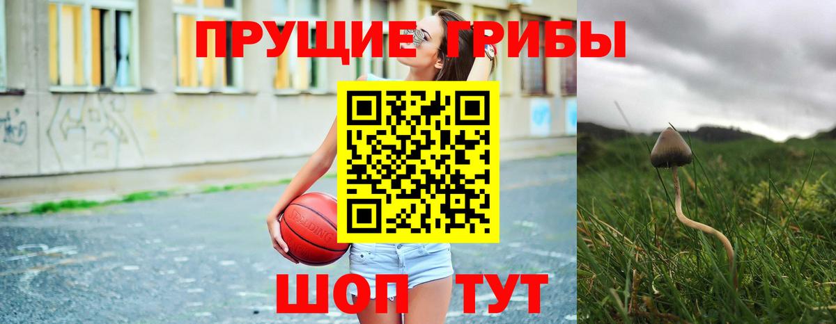 Саранск  Псилоцибиновые грибы Magic Shrooms  Вход с VPN 